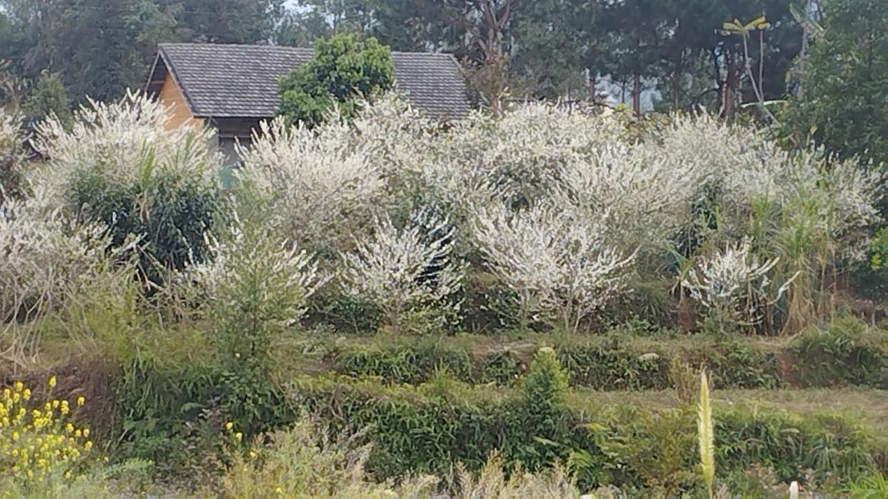 Huy Man Homestay Ha Giang Εξωτερικό φωτογραφία