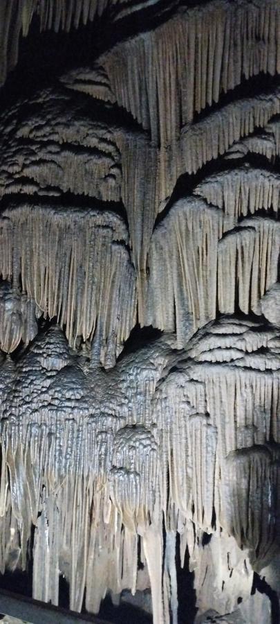 Huy Man Homestay Ha Giang Εξωτερικό φωτογραφία