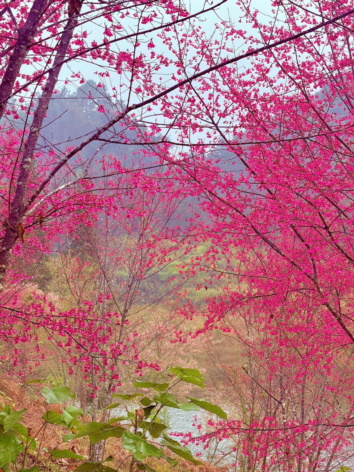 Huy Man Homestay Ha Giang Εξωτερικό φωτογραφία